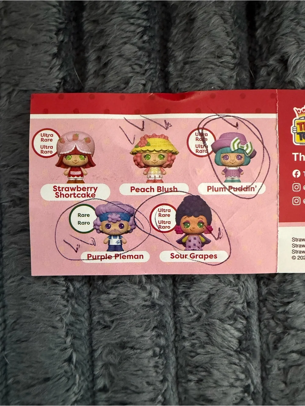 The World of Strawberry Shortcake
